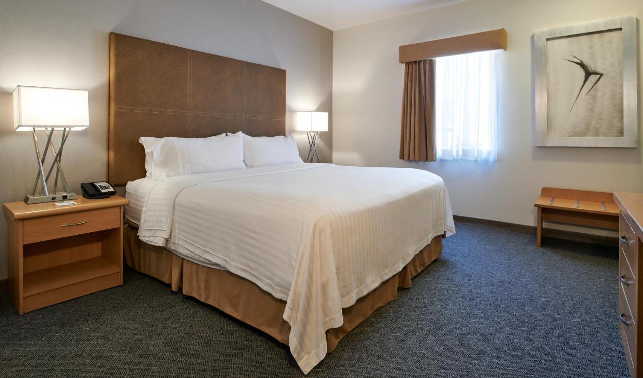 Holiday Inn Hotel&Suites Chihuahua, an IHG Hotel Bagian luar foto
